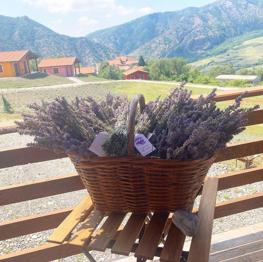 Azienda Agricola Saint Hubert Cantalupo Ligure Buitenkant foto